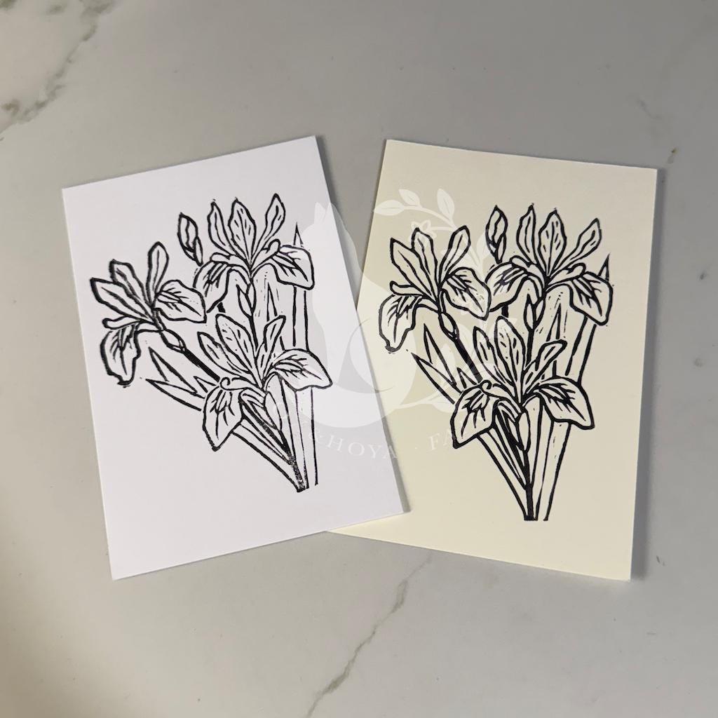 Irises - Postcard