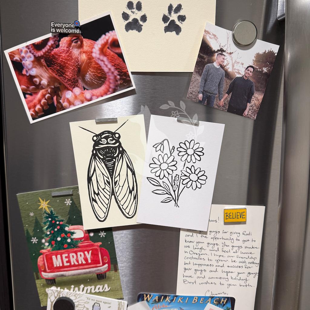 Daisies - Greeting card