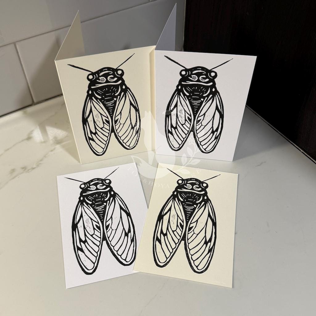 Cicada - Postcard