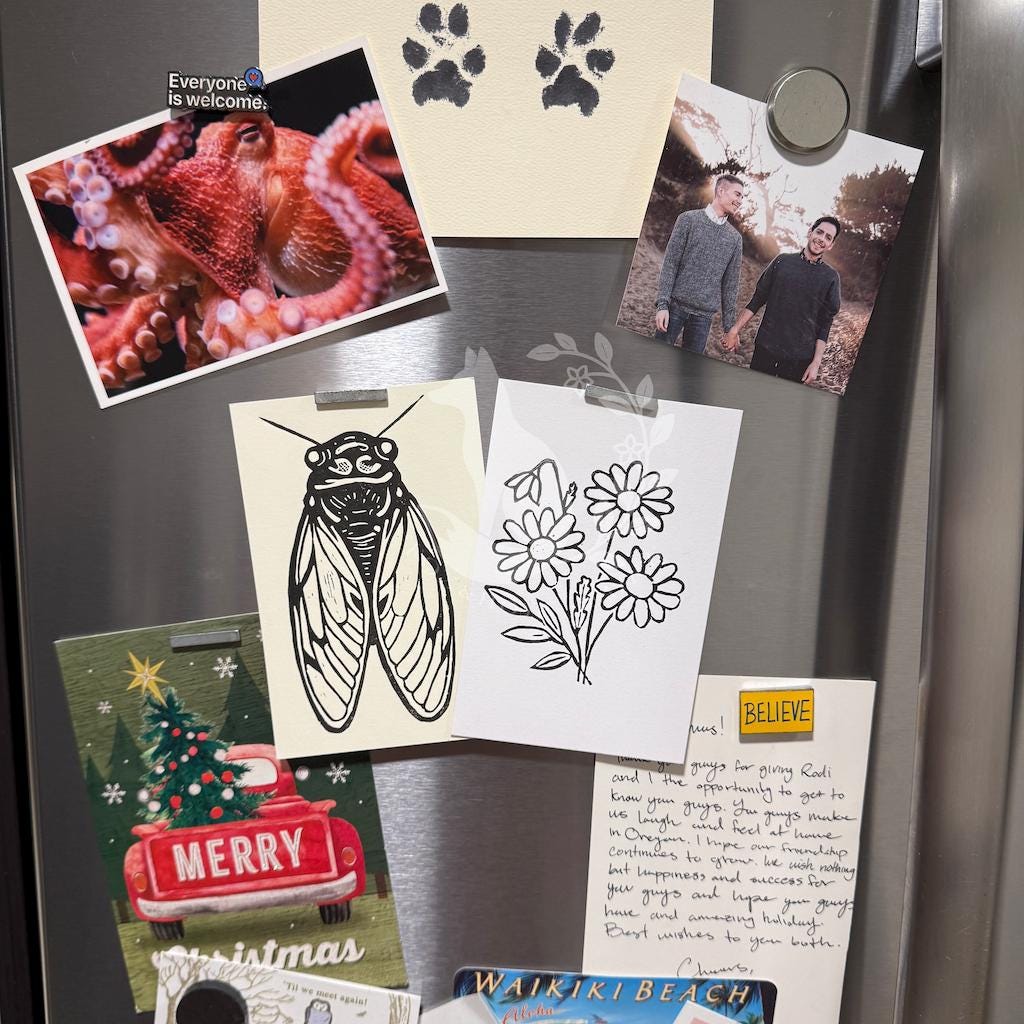 Cicada - Greeting card